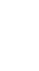Ribiw